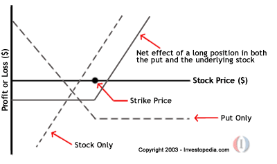 protect stock position options